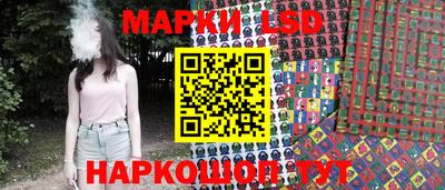 гашик Моздок