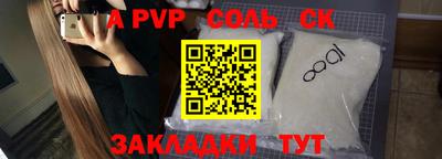 гашик Моздок
