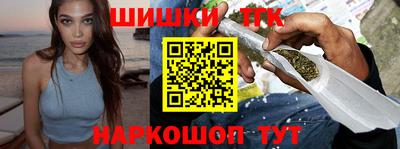 гашик Моздок