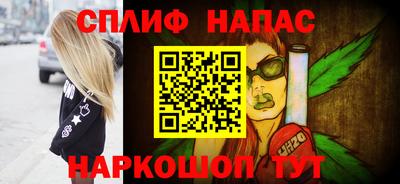 гашик Моздок