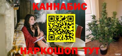 гашик Моздок