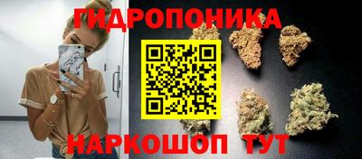 не бодяженный Можга