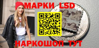 гашик Моздок