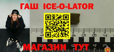 гашик Моздок