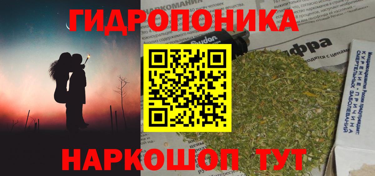 МЕФ Воронеж
